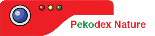 Pokédex Nature Logo
